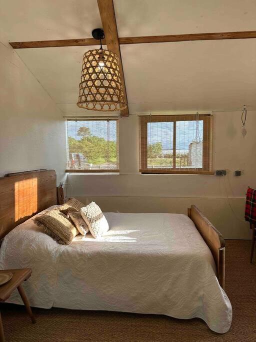 Cosy Cabane Boise Solaire, Balneo Bath Et Toilette Seche A La Ferme Mimizan Exterior photo