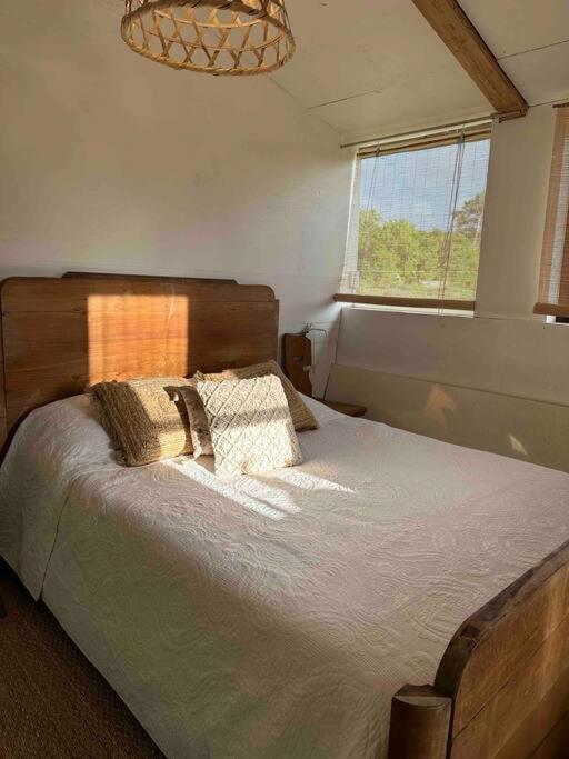 Cosy Cabane Boise Solaire, Balneo Bath Et Toilette Seche A La Ferme Mimizan Exterior photo